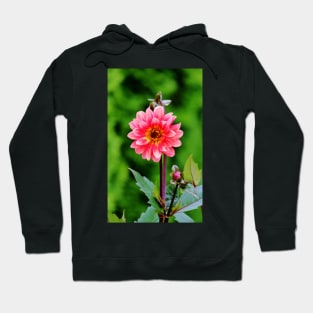 A Pink Flower Hoodie